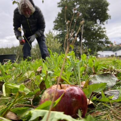 Photo 2025 10 04 12 13 58 3