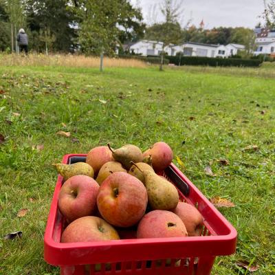 Photo 2025 10 04 12 13 58 4