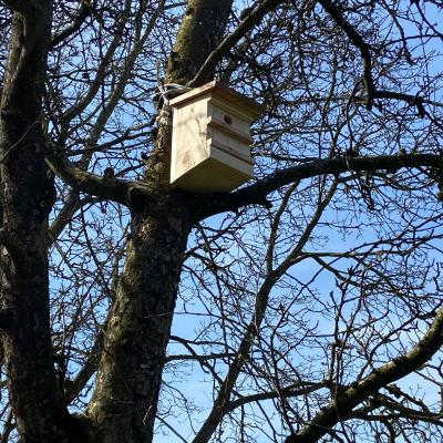 Photo 2026 03 30 23 06 16 3